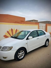 كورلا بيكاتشو • ٢٠٠٦ • رقم بغداد