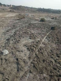 بلفداء مقاطعه ٥٦ • شارع أبو لبنان • طابو صرف