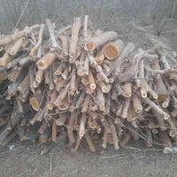 خشب للبيع  هاتف ٠٧٨١٨٥٢٣١٩٥