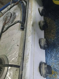 طباخ • شغال • ام العصافير