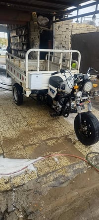 ستوته • موديل ٢٠ • أوراق اصولي