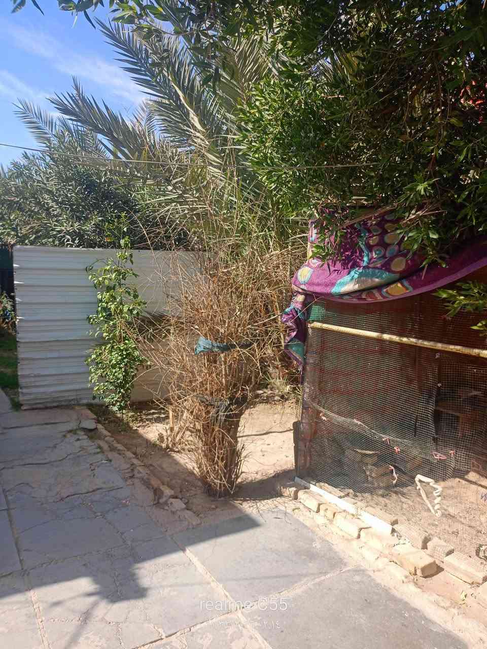 يا الله يا رزاق اعادة نشر /بيت للبيع طابو ماليه المساحة الكليه 300 متر على ساحه يتكون من غرفتين استقبال مطبخ صحيات خارجية  جميع الخدمات  متوفرة ماء كهرباء مجاري تبليط ارصفه مثل ما واضح بالصور العنوان حي الامام منطقة خويلد قريب على الامام الحمزه على شارع النجف للاستفار مراسلة الصفحة أو الاتصال ***********
