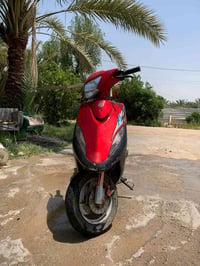 ماكس عدلة • سلف • مسيب