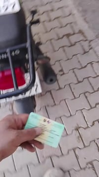 شاينك • موديل ٢٣ • كفالة عامة