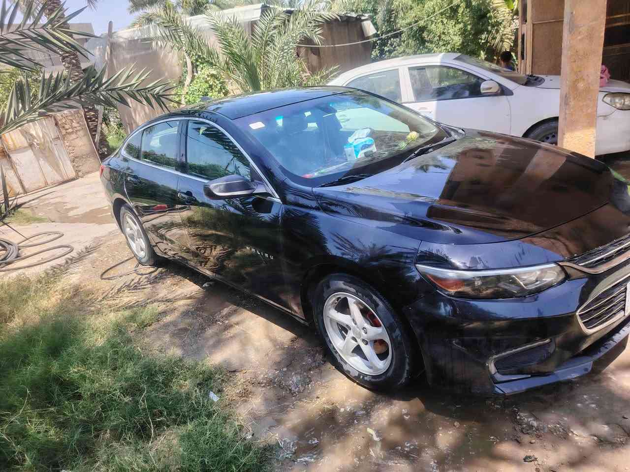 ماليبو 2018 باسمي رقم انكليزي سياره جاهزه خير من الله بيهه بارد وطخه بل جاملغ سعر 92@


**إذا كنت صاحب هذا الإعلان وتريد حذفه لأي سبب، رجاءا أرسل رسالة إلى الدعم الفني**