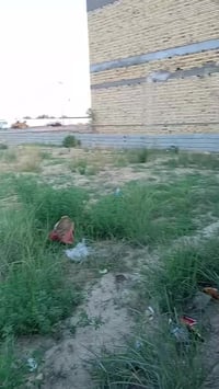 توجد قطع اراضي زراعيه سند 25 بساحات واسعه وأسعار تنافسية خلف حي  الجام...