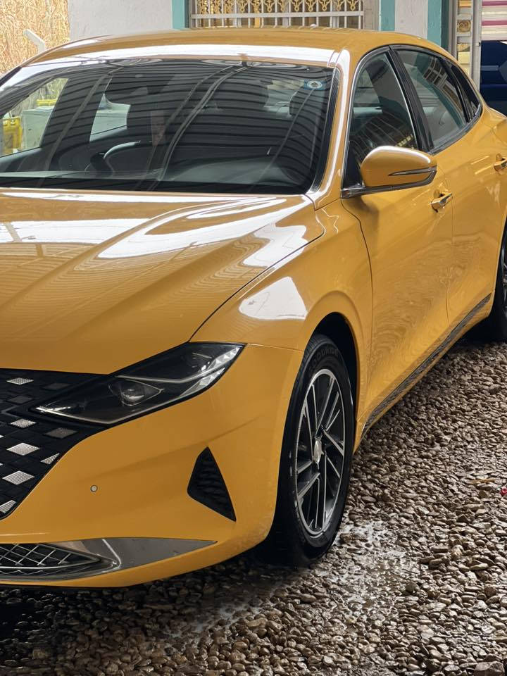 ازيره غاز بلادي 2023 الرقم قادسيه مكان بابل الشوملي معرض سيد مهدي الشرفي  ***********
