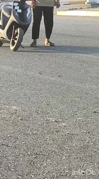 ماكس عدله • تايرات جدد • السماوة ال معالي