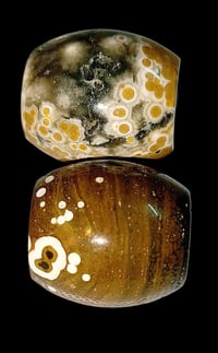 تحف وانتيك ونوادر شرط الشغل ومال زماط منكل داوديات عطف نثية وفحل مشگول...