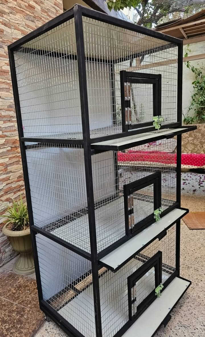 تعلن حدادة سبع الدجيل (جوال) في بلد عن استعدادها لتقديم جميع أعمال الحدادة، ومنها:
** تصليح الأبواب والشبابيك
** عمل السقائف والكرفانات
**عمل الأقفاص ومحميات البلابل
📌 بإدارة: فاضل
 للتواصل: ***********

الفيس بوك 
https://www.facebook.com/share/1FeJgJ1Rrb/
@أبرز المعجبين
