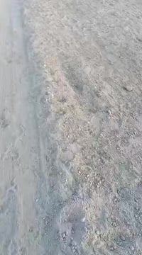 قطع زراعي • قطع مرتبه • وراء مدرسة شموخ