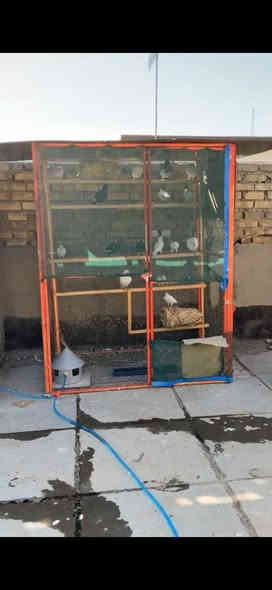 كلهن ب50 -الف مكاني حي الجهاد *********** متواجد وتساب
