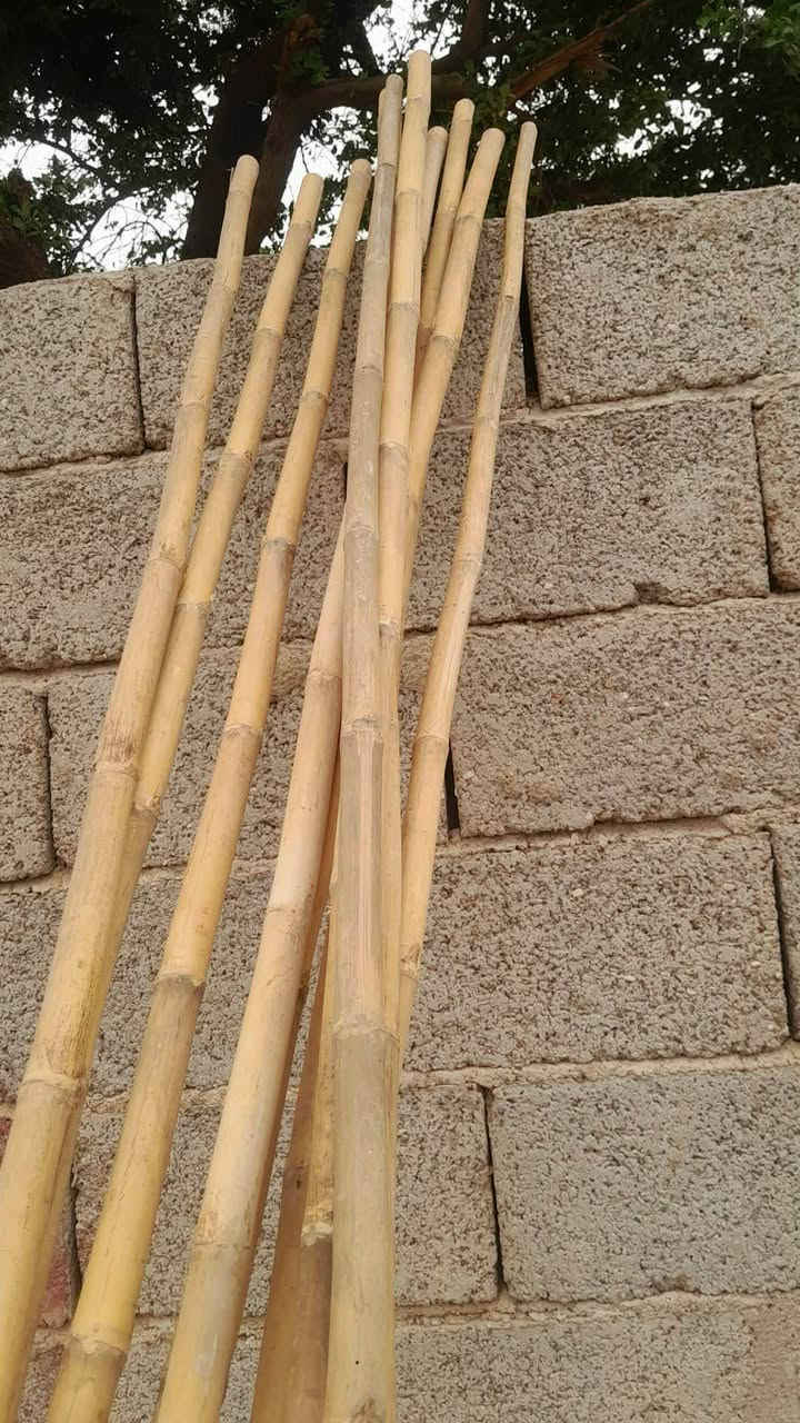 سلام عليكم 
مرخصت مدير الكروب 
خيزران للبيع العدد 10
الطول 3متر 
للاستفسار ‏‪***********‬‏
