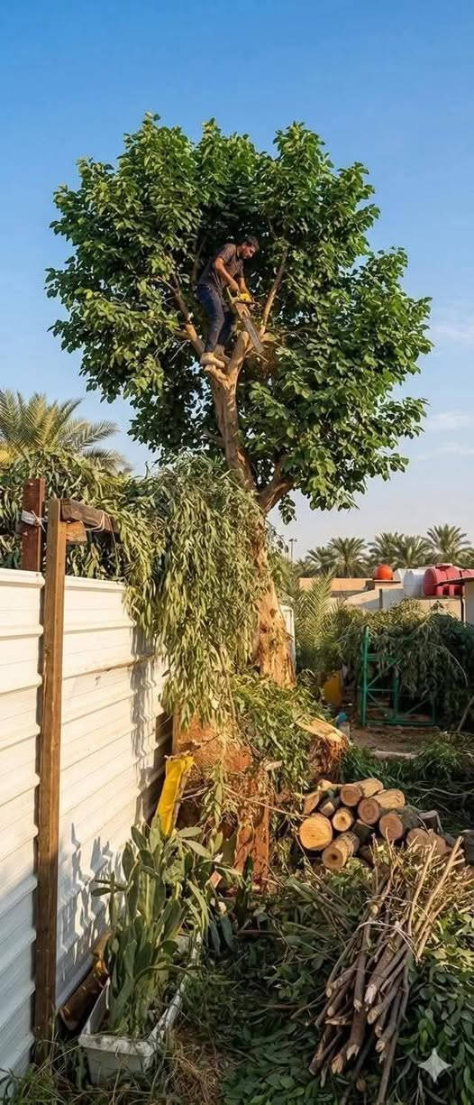 تقطيع الاخشاب مجاني
***********
