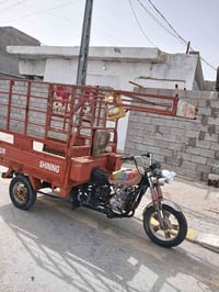 ستوته • الرمادي الحوز