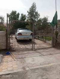 برنس فراشة • أوتوماتيك • ١٩٩٦