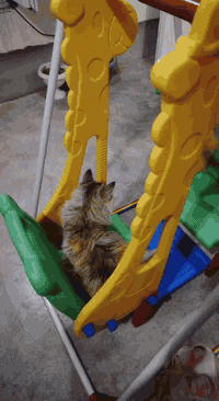 السلام عليكم مرجوحة اطفال للبيع جديده للاستفسار ***********
