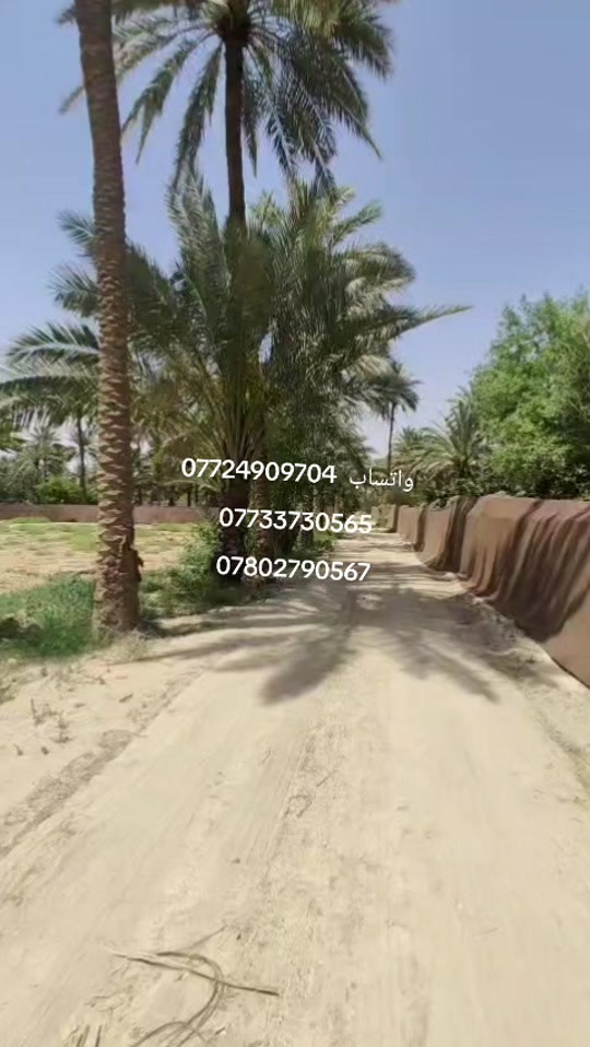 قطع ارظى مساحة 1000متر ركن اللبيع في كربلاء قرب القنطرة البيضه  بداية شارع الحافظ منطقة اليوسفيه قرب مشتل العتبه  طابو زراعي قرار محكمة سند 25 خدمات كامله مثل ماواظح بالتصوير الاستفسار اتصل واتساب  *********** *********** ***********
