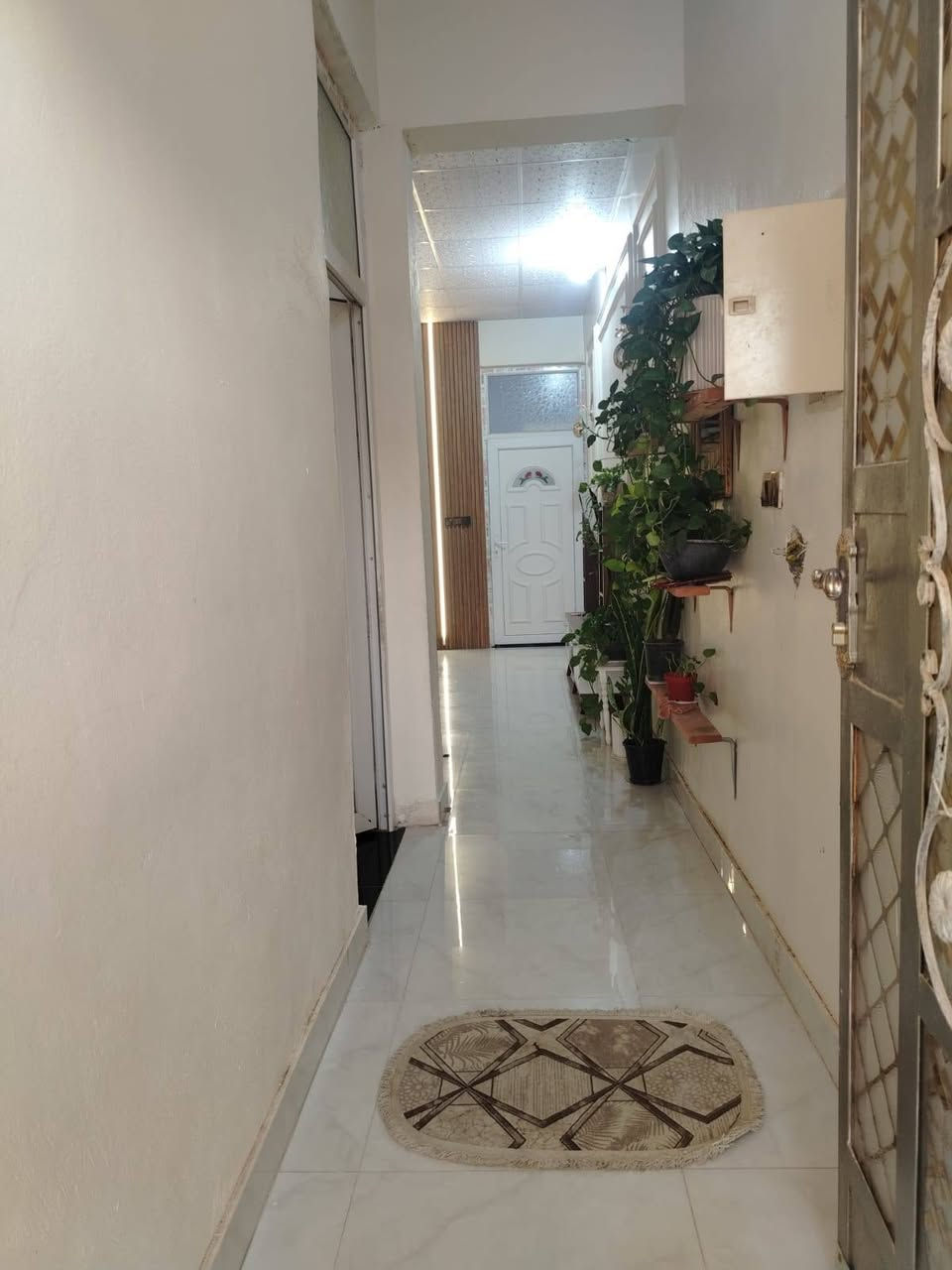 بيت ١٠٠ متر طابقين الأول كامل والثاني لحد السقف التحرير الحولي زراعي محمد ليله أميري على الشارع التبليط ت*********** والخاص مفتوح
