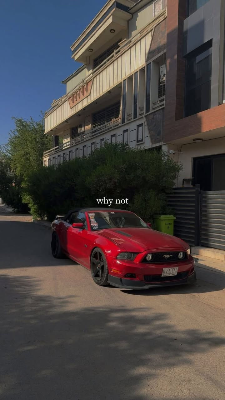 السلام عليكم شباب
Mustang gt premium 2013🐎❤️‍🔥
السياره فول مواصفات 
كشف شامو 

بريميوم 7 الوان / جلد شاشة معلومات بل دشبول انارة كيجات و انارة كلاصات وانارة تحت الرجل سستم صوت شيكر بلوتوث اتصال وتشغيل مو بس اتصال مثل العادية كشنات كهرباء
شاشه اندرويد 
تضليل امريكي 100‎%‎
گير اوتر 
لحيه RTR
دفيوزر وجنح شيلبي350
وياله فوزن نجمه قياس 20تو سايز 
السياره مفرغه وعليها داون بايب ستل ستيل 
عليها دبات ht power بوابات رموت تفتح وتسد حسب رغبتك نغمتها كلش حلوه ومابي دويه 
حلوك corsa

عليها برمجه سيفتي كت اوف وطلقات برمجتها استعمال يومي 
صدر جديد تايرات جدد السياره كلها جديد مابيها اي نقوصات ومسويلها ادامه كامله 
ماشيه 68mi
حادثها صندوك وشويه بارد بل جاملخ الخلفي بامريكا وبلعراق صار بيها جاملغ امامي جهة السايق وايرباك الدركه طاك 
 
صور حادثها موجوده

مكاني بغداد اليرموك 
***********

السعر :137وبيها مجال
