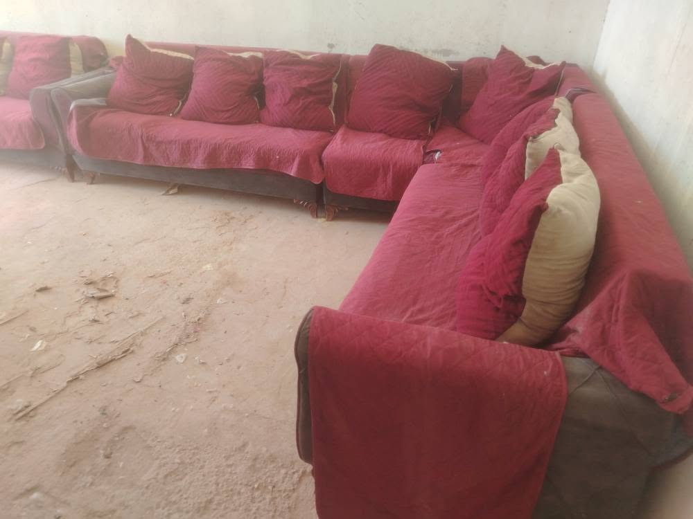 تخم ديوان للبيع 5 قطع 10 نفرات سعره 190 مكانه نجف حي ميسان مقابيل العسكري *********** بيه وتساب النجف, العراق
