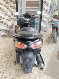 فورزا • بابل • مكفوله