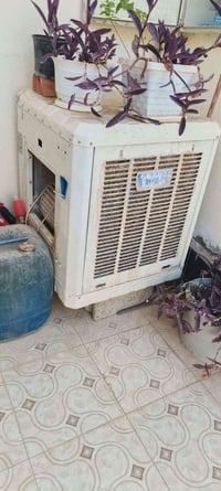 مبردة • بعقوبة الرحمة • مني مول الجوهرة