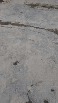 محطة غسل وتشحيم للبيع المكان حي اور قرب حسينية المصطفى للتواصل خاص او ***********
