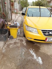 سونتا موديل 7 • رقم بغداد • صبغة جديدة