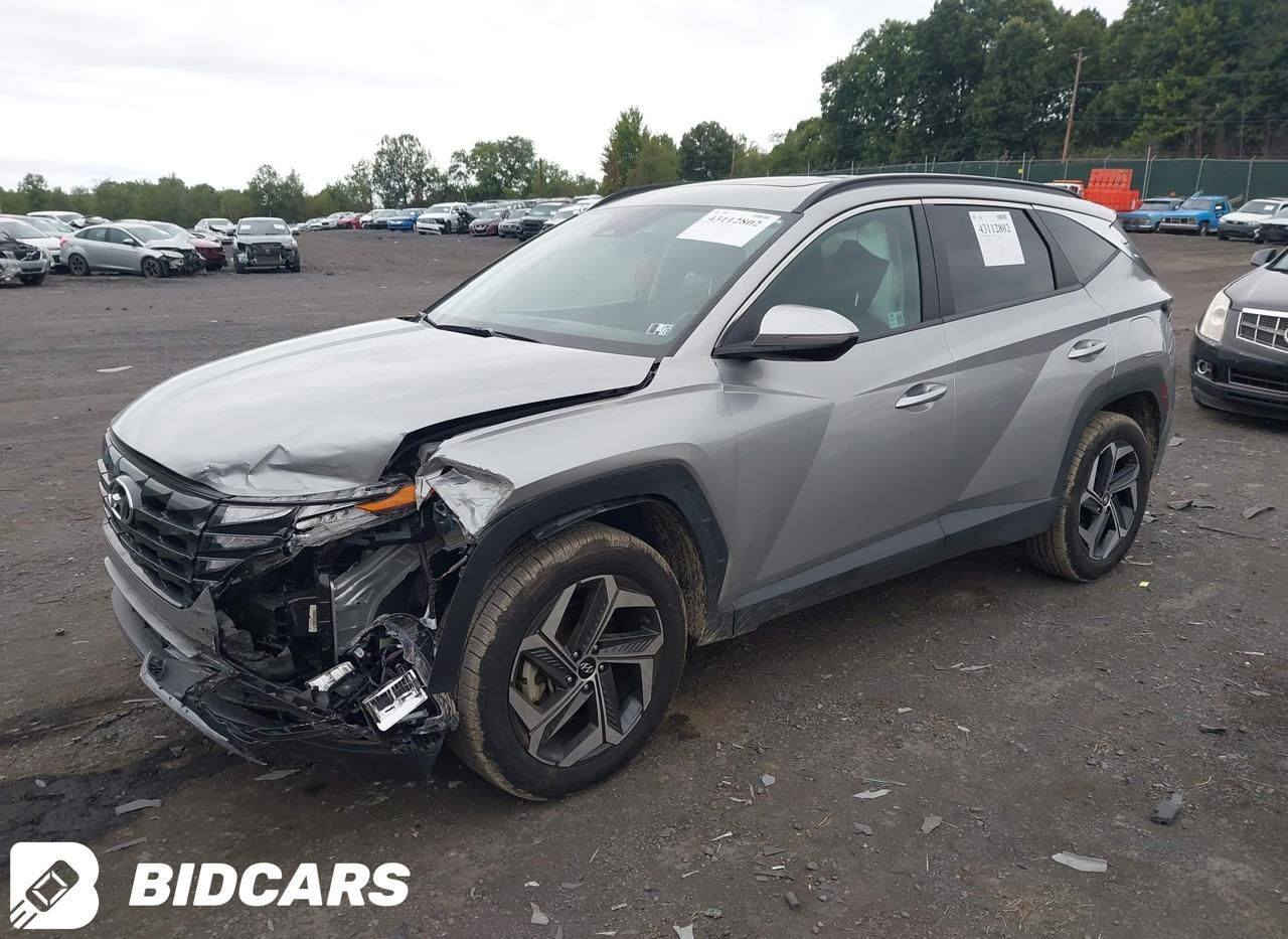 السعر : 165$ فتحه بصمه جلد
توكسان لمتد 2024 
مصلح واصل ميناء

٭ الحادث موضح بالصور

اتصال او واتساب :

• حسن المياحي    ***********
                  wa.me/9647809815815     الواتساب

 • احمد الطاهر    ***********
                  wa.me/9647809419963     الواتساب

٭ كروب واتساب نشر السيارات
https://chat.whatsapp.com/G1MkJFrwzhH4fIdxUY2X1D
