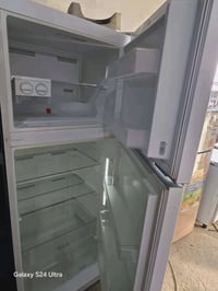 فيستل • حجم ٢٠ • شرط التجميد