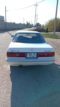 مارك شطح • موديل ٩١ • صبغ خفيف خلفي