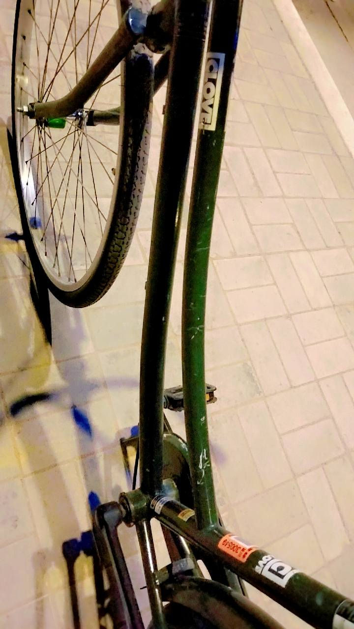 شباب بايسكل للبيع زيتوني💚
موديل 2019 مكانيه حي العامل


**إذا كنت صاحب هذا الإعلان وتريد حذفه لأي سبب، رجاءا أرسل رسالة إلى الدعم الفني**