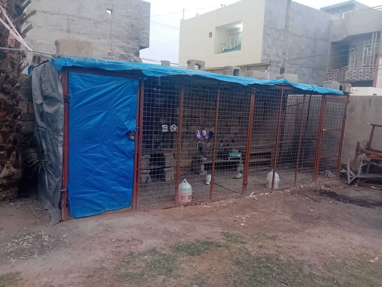 سلام عليكم شباب متاح قفص عرض ٦متر واجهتين كل واجهه ٣متر يتفصخ وينشد براغي رتفاع ٢ متر عرض ١٧٥ سعر ٢٠٠ الف بي مجال شراي يجي خاص او يتصل *********** مكاني سامراء
