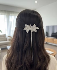 قراصات شعر • زاركون • درزن ١٢ قطعة