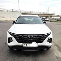 توسان خليجي 22  فول عدا الفتحة مكفولة فقط بارد 3 اصابع مكانها بغداد 07...