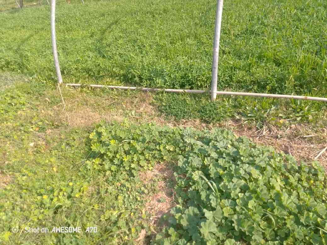 السلام عليكم
متوفر بيوت زجاجيه للبيع 

المكان واسط العزيزيه 

للاستفسار الاتصال ع الرقم ‭0780 493 9488‬
