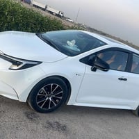 كورلا امريكي • داخل جلد • ٣٦٠٠٠