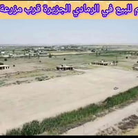 أرض زراعية • سند ٢٥ تحويل مباشر • خدمات كاملة