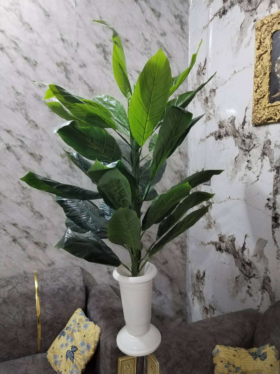 غراض للبيع...
بلازمه قياس كبير و ميز 
مجمده كبيره. 350 
شجره ورق الموز ارتفاع متر و نص 25
شجره وردي 25

التواصل مع الرقم
***********
كربلاء حي الغدير شارع 60 قرب مندي ابو الجود
