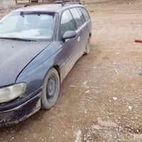 شغالة • سنوية 23 • تحتاج سواق