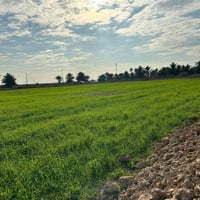 ارض للبيع ✨  المساحة: 2 دونم   الطابو: زراعي، سند 25  الخدمات: كافة ال...