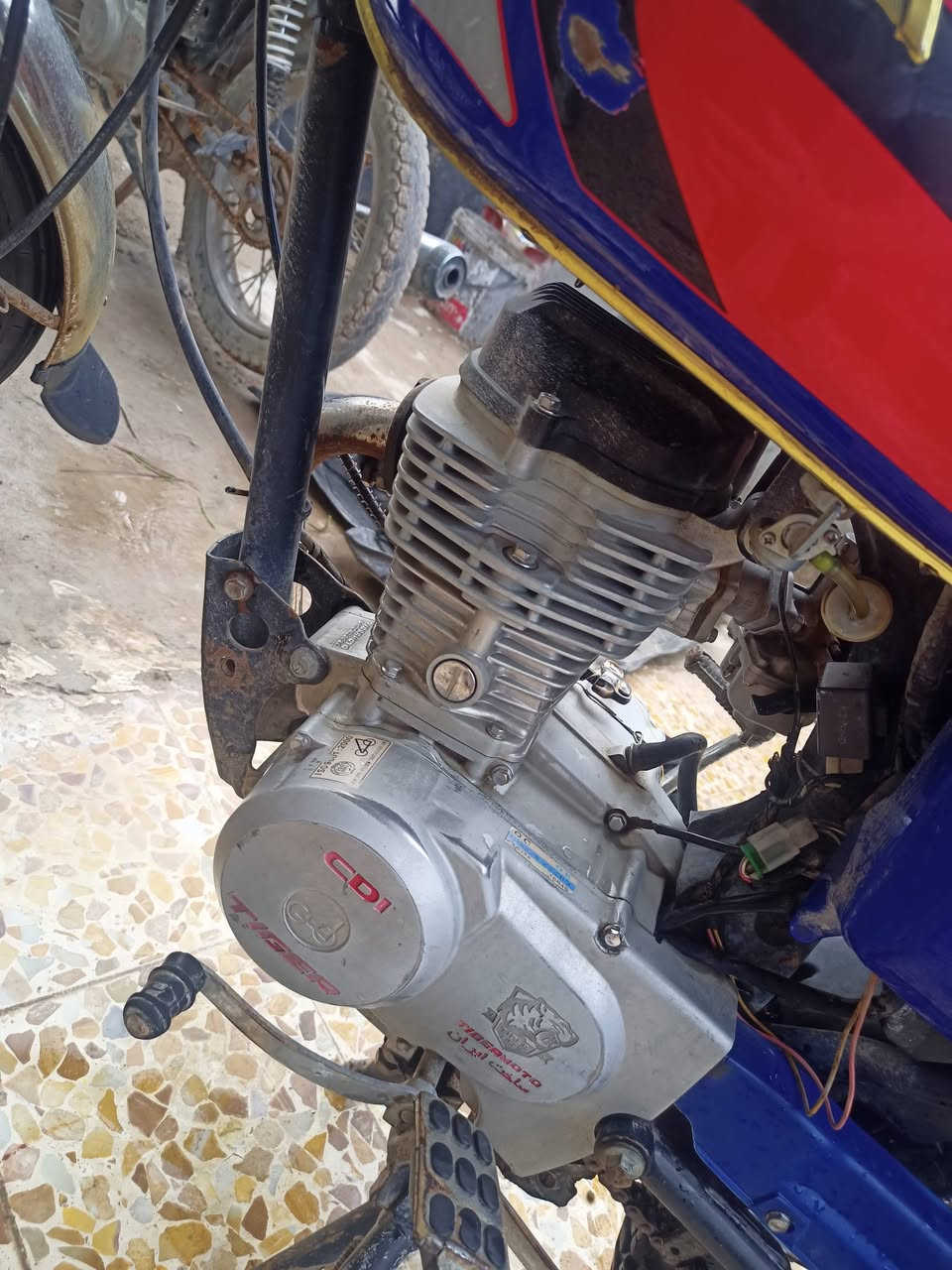 ماطور تايكر 2020 من شتريتو من صاحبو كال بس قبق الفيلسه مفتوح اني ابيعك مفتوح بس المحرك فول معدل وتحريكه نار اعارض بستوته وانطي فرق واذا بيع ب 320


**إذا كنت صاحب هذا الإعلان وتريد حذفه لأي سبب، رجاءا أرسل رسالة إلى الدعم الفني**