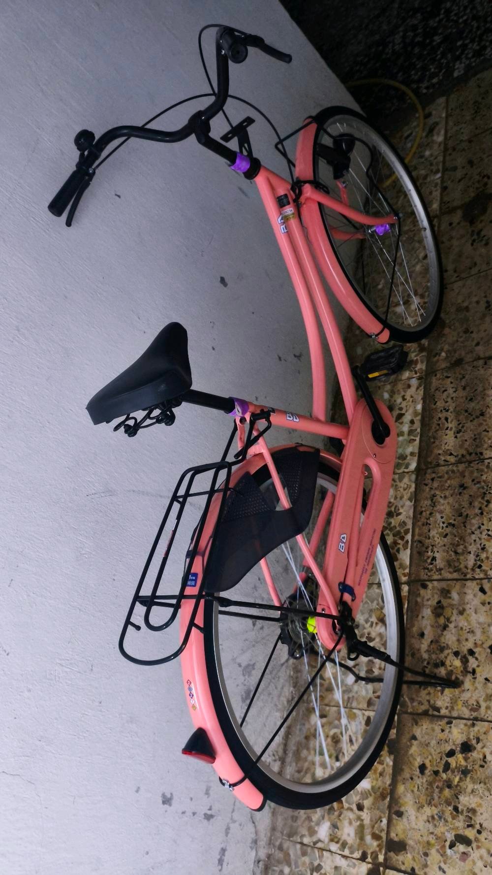 باسكل وردي مديل 20 مكان نجف حي غدير سعر 130باسكل كفاله