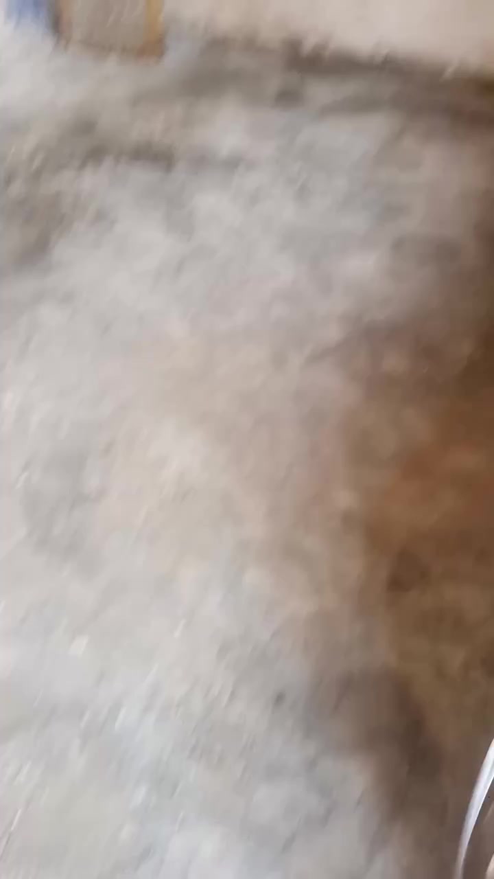 السلام عليكم اي واحد يريد تنضيف بيوت تصعيد مواد عل ضهر يراسلني***********رقمي
