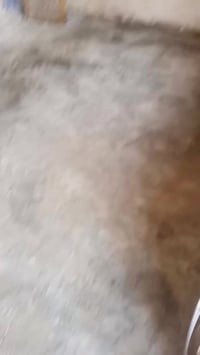 اي واحد يريد تنضيف بيوت تصعيد مواد عل ضهر يراسلني07771235181رقمي