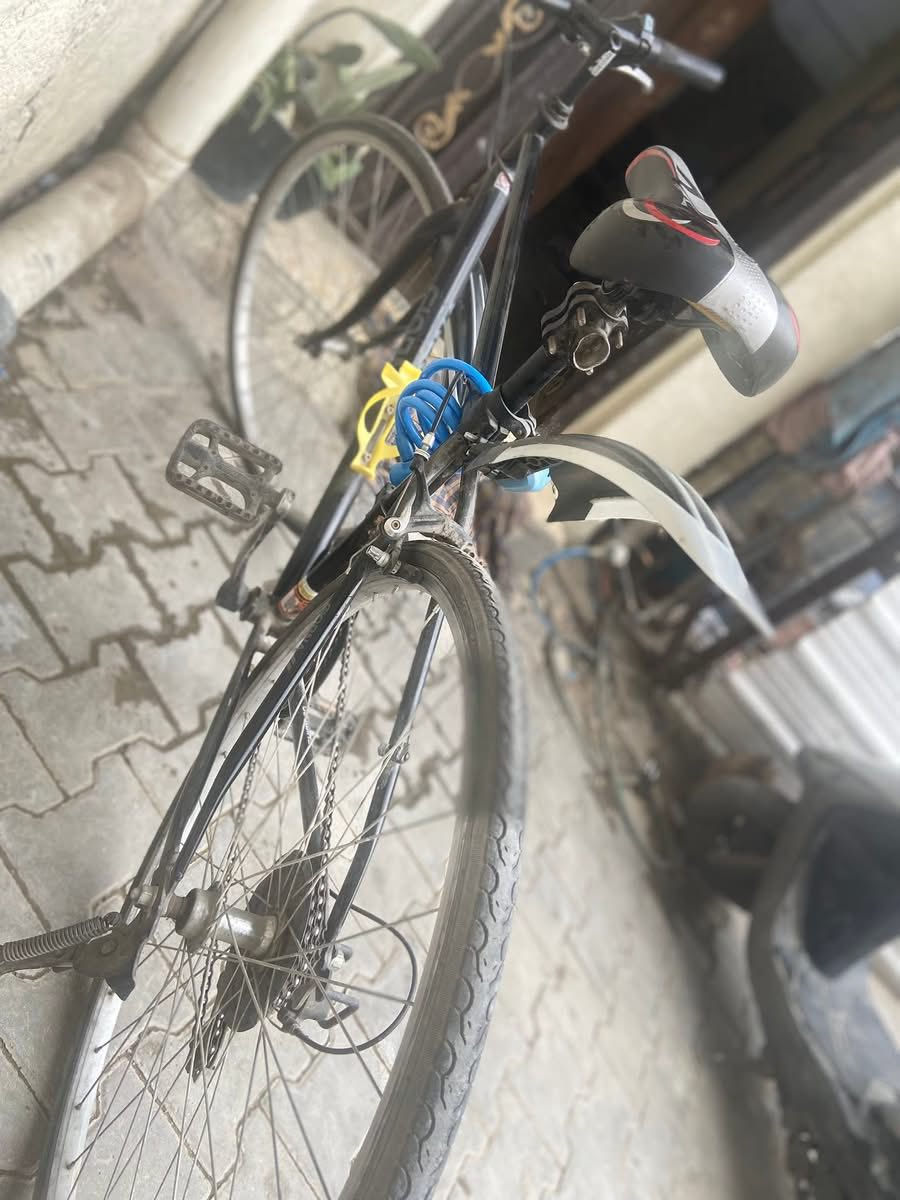 باسكل للبيع  مستعمل يومين وسعر 85


**إذا كنت صاحب هذا الإعلان وتريد حذفه لأي سبب، رجاءا أرسل رسالة إلى الدعم الفني**