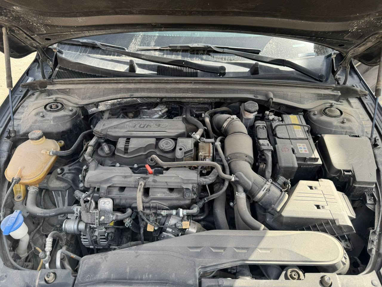 كي 5 موديل 2022 وارد امريكي
فئة ex فول الفول واحد على واحد
ماشية 75 الف كيلو
محرك 1600 تيربو
رقمها اربيل بأسمي

كامرة
حساس
تحكم ستيرن 
رادار
مثبت سرعة
قيادة ذاتية
بانوراما
كشنات تدفئة تبريد
وباقي مواصفات الex المعروفة
السيارة مفولة كلشي بيها

حادثها جاملغ جهة السايق وصور الحادث موجودة بالمنشور
***********
السعر ١٩٥ورقه وبيه مجال للشراي
