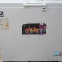 تجميد ١٠٠٪ • سنغافورة • فريزر