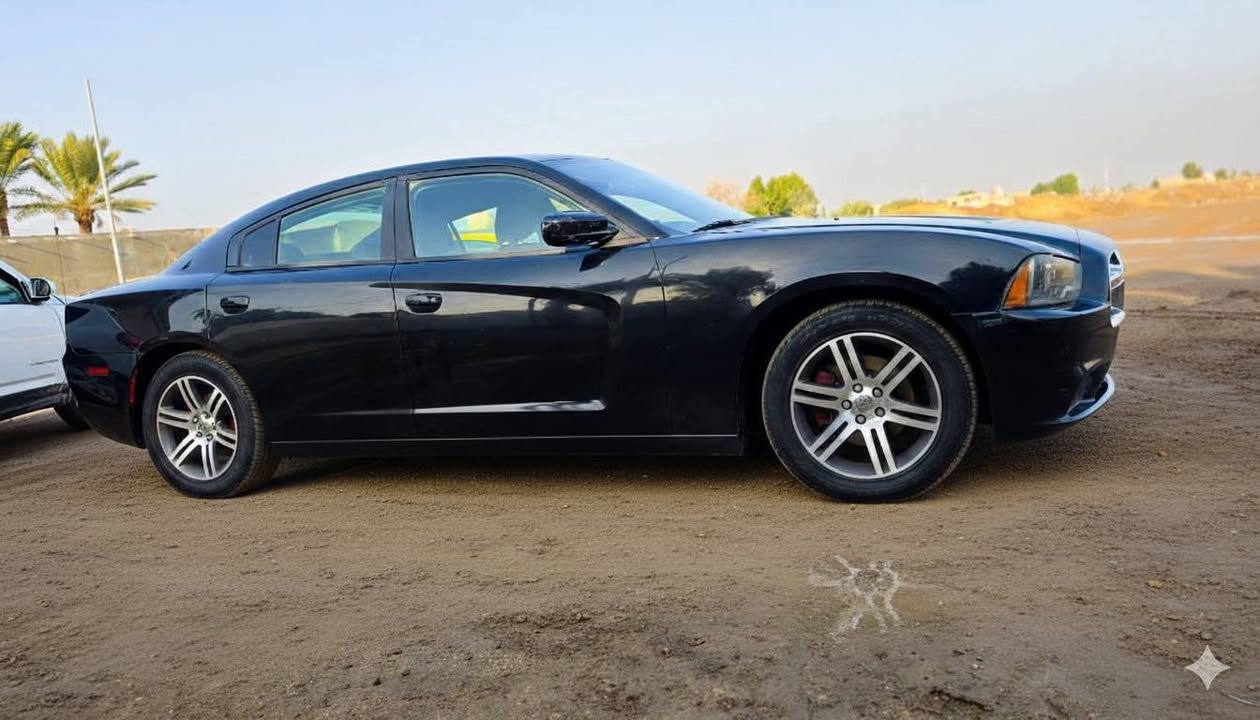 سلام عليكم
شارجر2013 
بيع اومراوس 
وارد امريكي ضربتة نص جاملغ الكدام 
والباقي كفالة عامة 
بدون عابر بدون لغود بدون شواصي 
كير محرك اكسل عل شرط كفالة من كلشي 
رقم بغداد تحويل ثاني يوم 
محرك 3600
تخم تاير 
تبريد ثلج 🥶 
حدادية 100/100
كرهبائيات فول 
ماشية 220
بصمة 
وباقي المواصفات معروفة 
مكانة الديوانية الحمزة الشرقي 
***********
